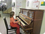 IMG_3795